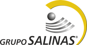 Grupo Salinas